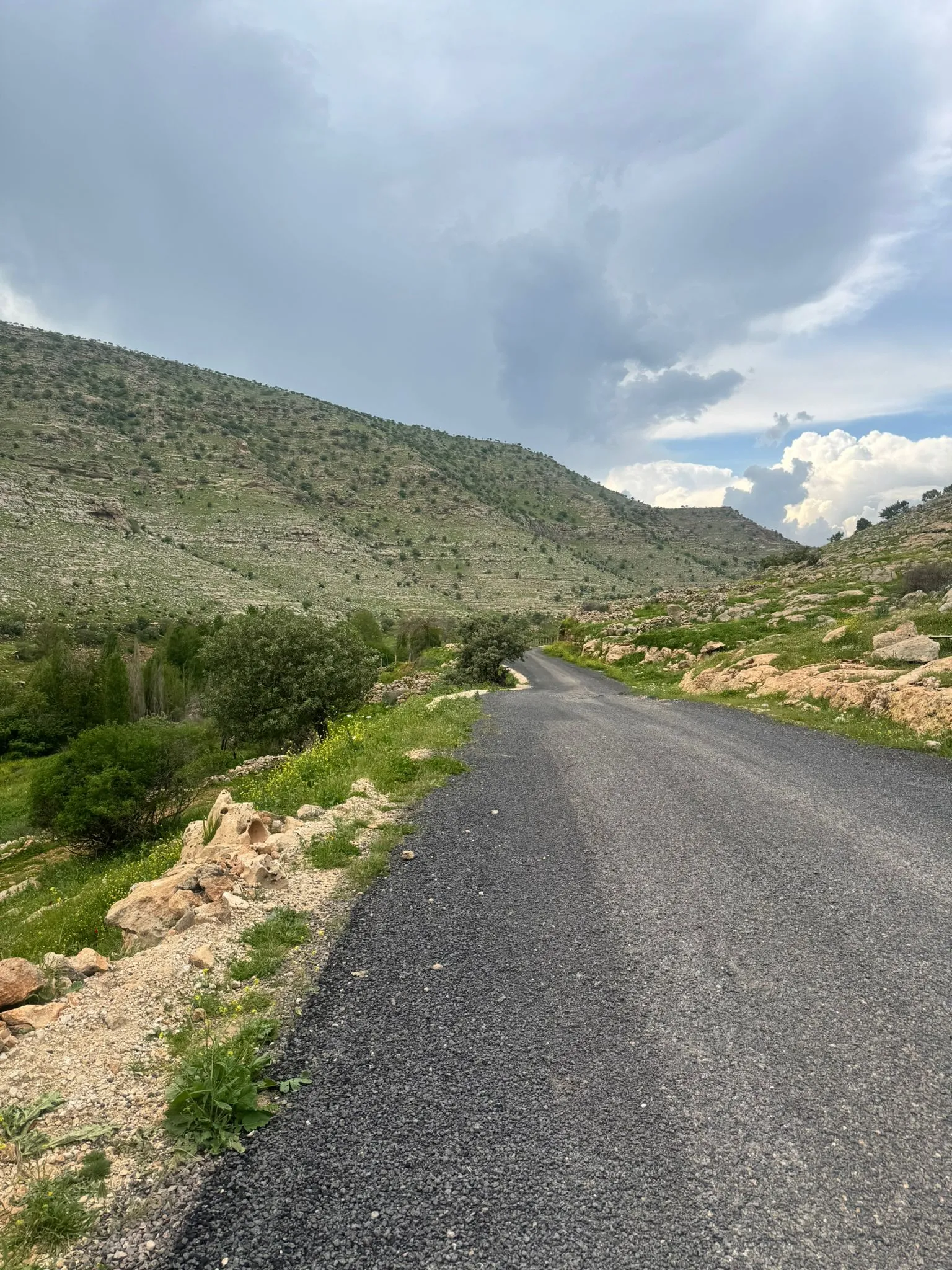 Vadiye giden yol