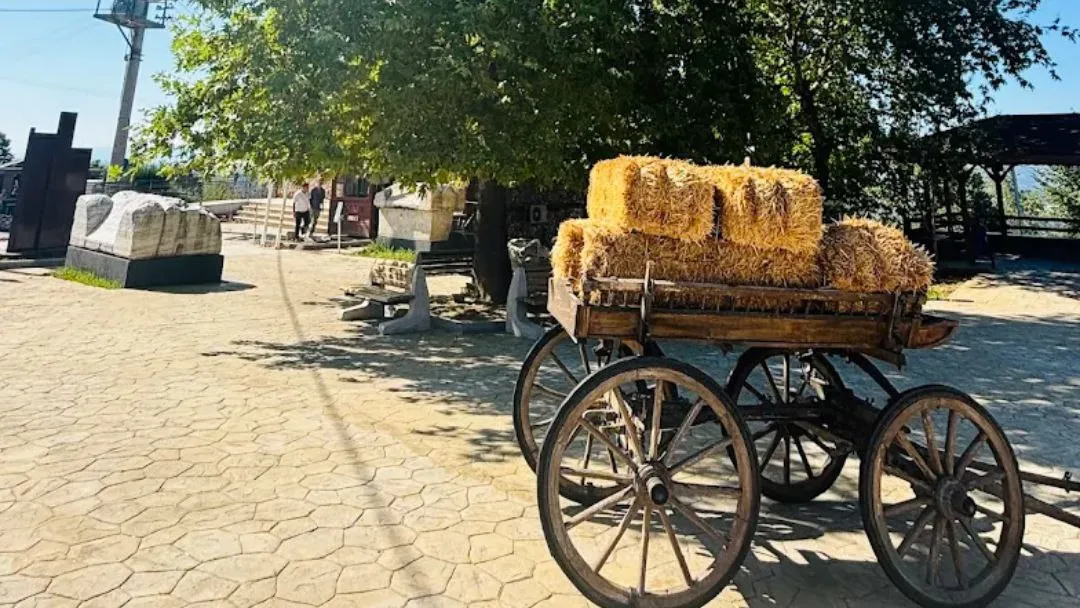 Bahçede sergilenen eski at arabası
