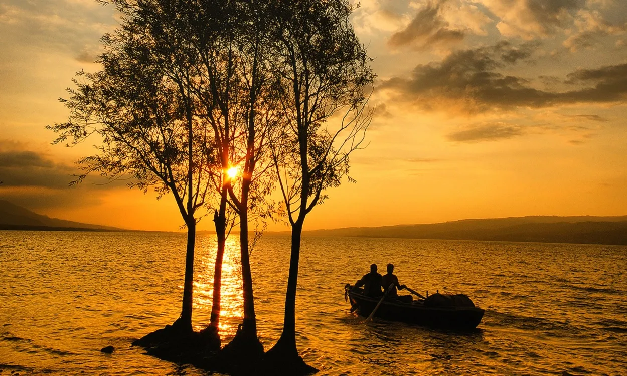 Gün batımında ağaçlar ve kayık