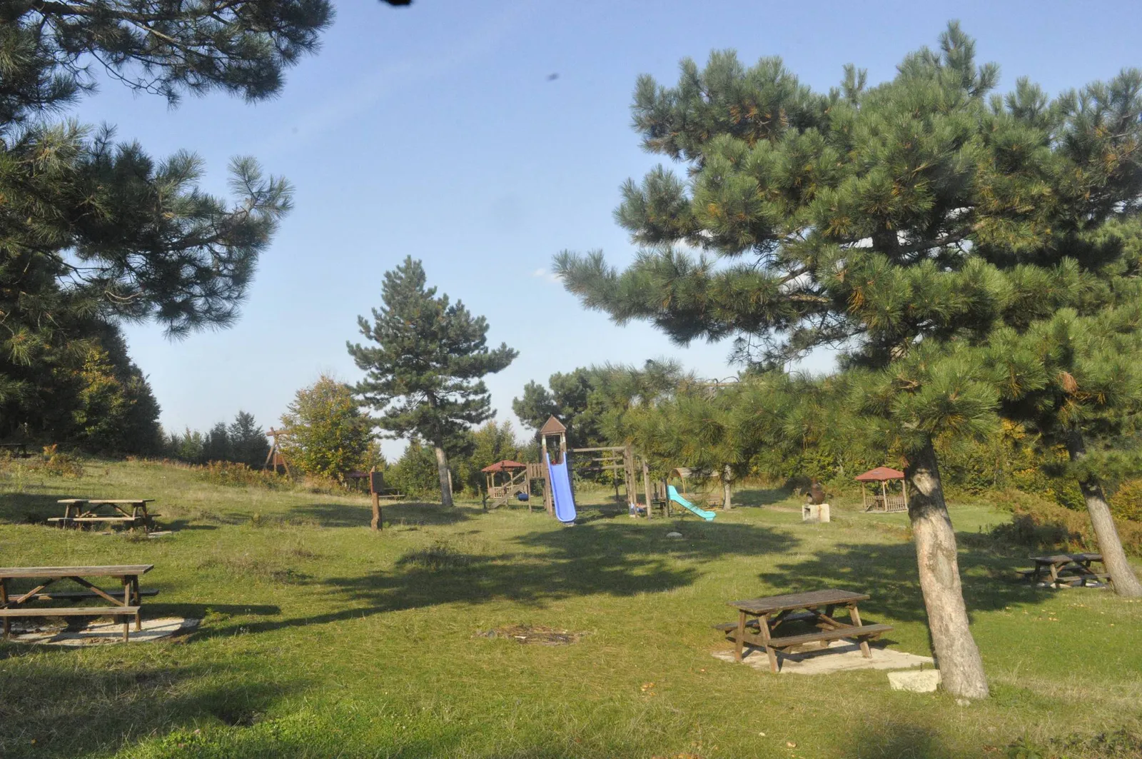 Suadiye Tabiat Parkı'nda çam ağaçları arasındaki piknik alanı