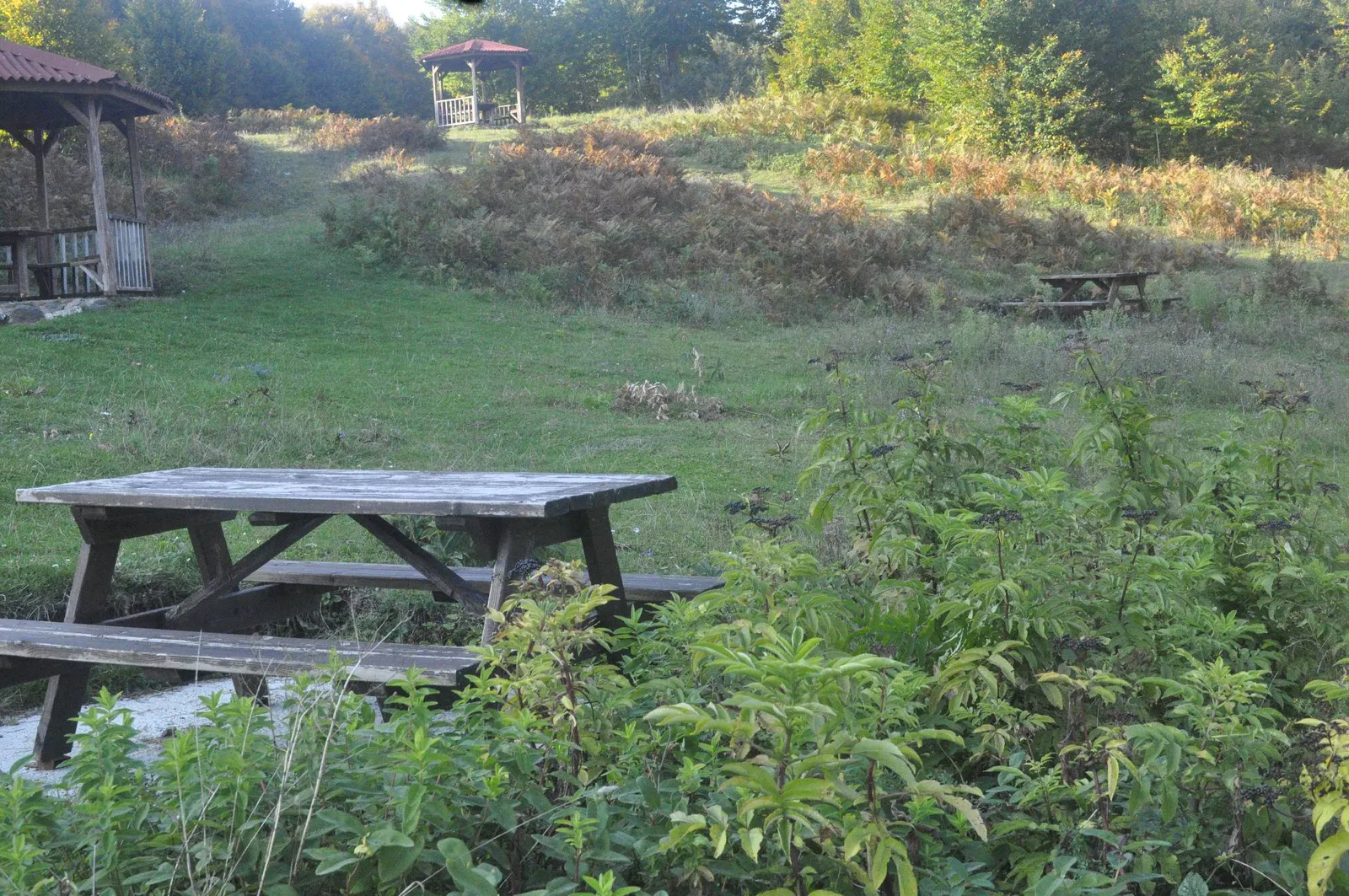 Suadiye Tabiat Parkı'nda piknik masaları